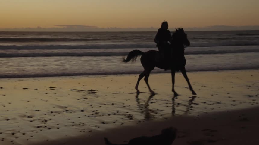 Two people are riding horses on the beach