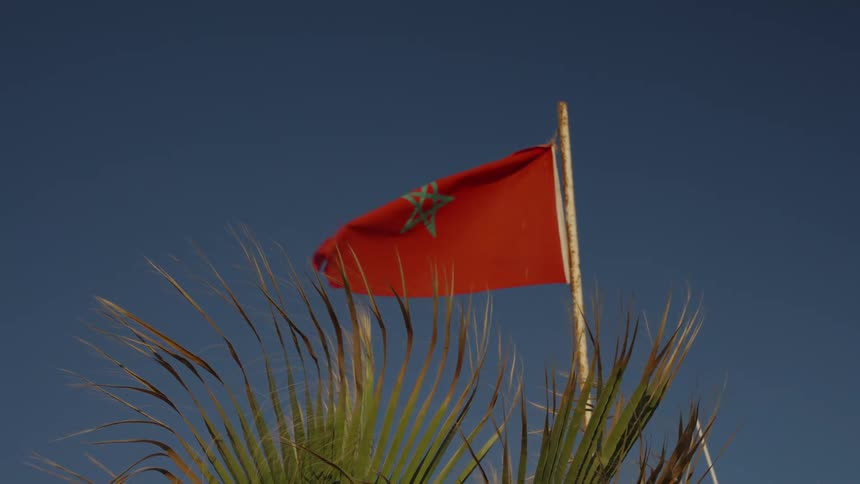 The moroccan flag red with a green pentagram waves gently in the wind on a flagpole against a clear blue sky with palm fronds swaying in the foreground