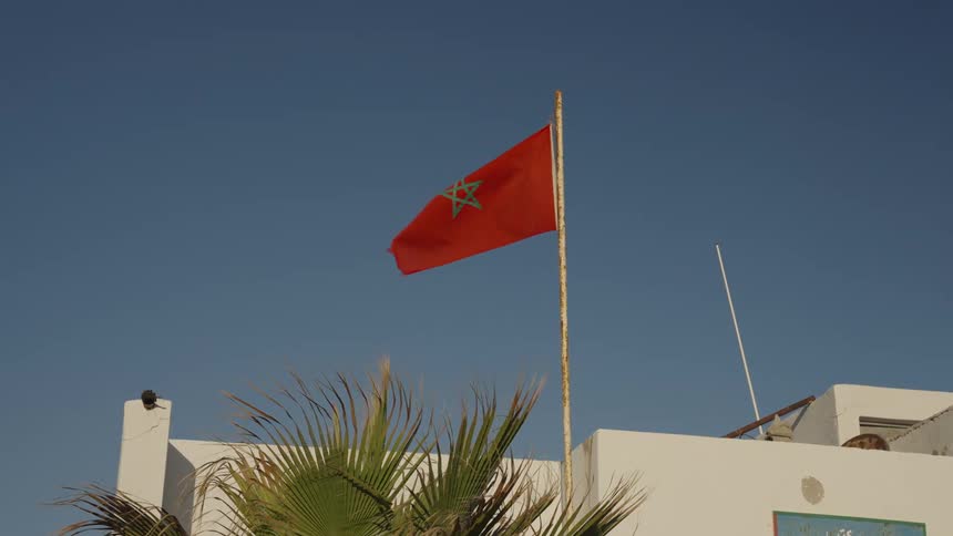 A moroccan flag waves against a clear blue sky above whitewashed buildings with a palm tree in the foreground