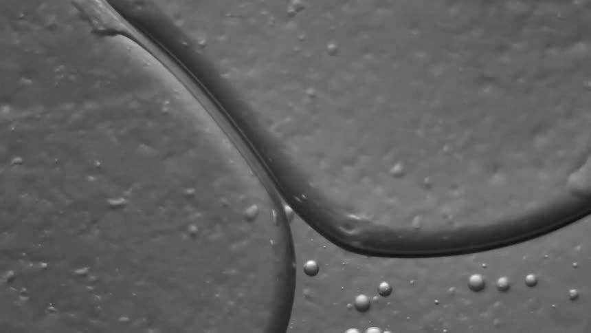 Bubbles move around in the water on this surface