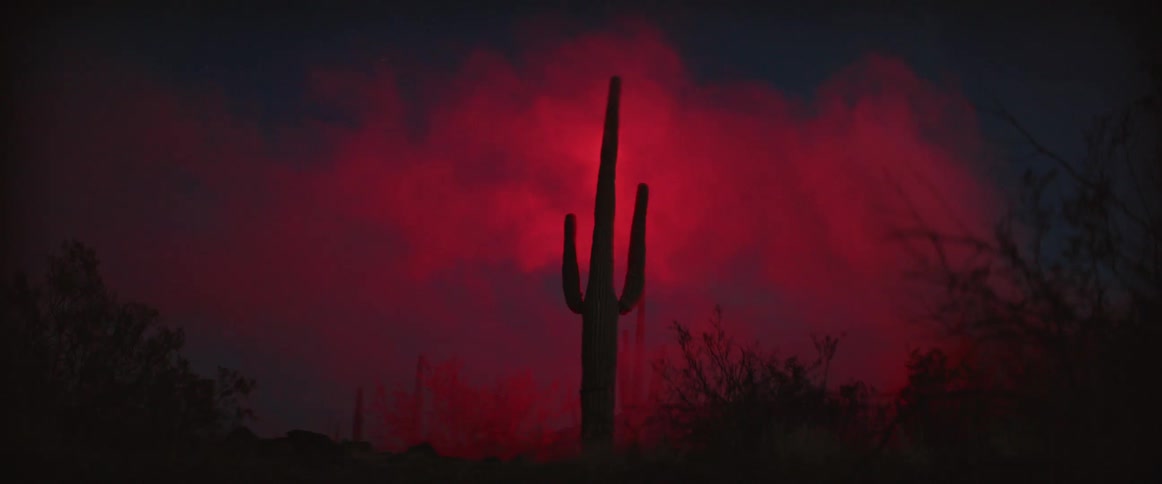 The clouds are red behind the cactus at night