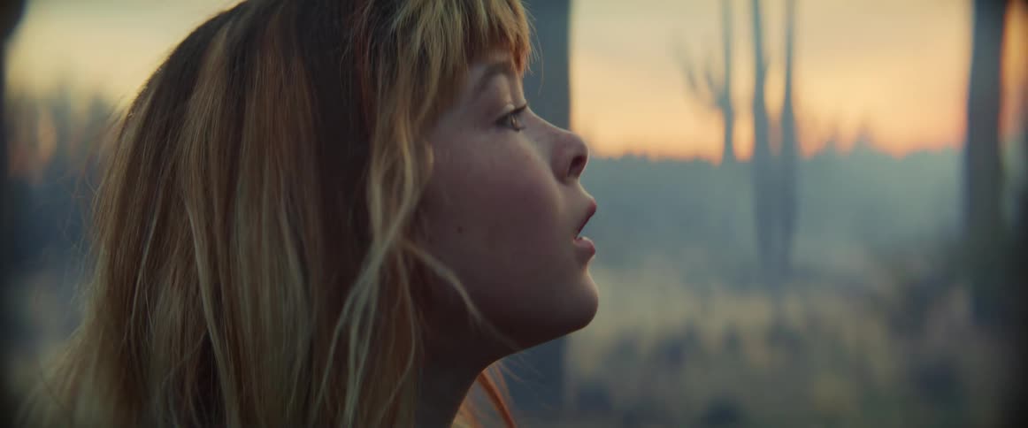The profile of a blonde girl with long hair looking around in a desert filled with towering cacti surrounded by thick mist and illuminated by the soft diffused light of either sunrise or sunset