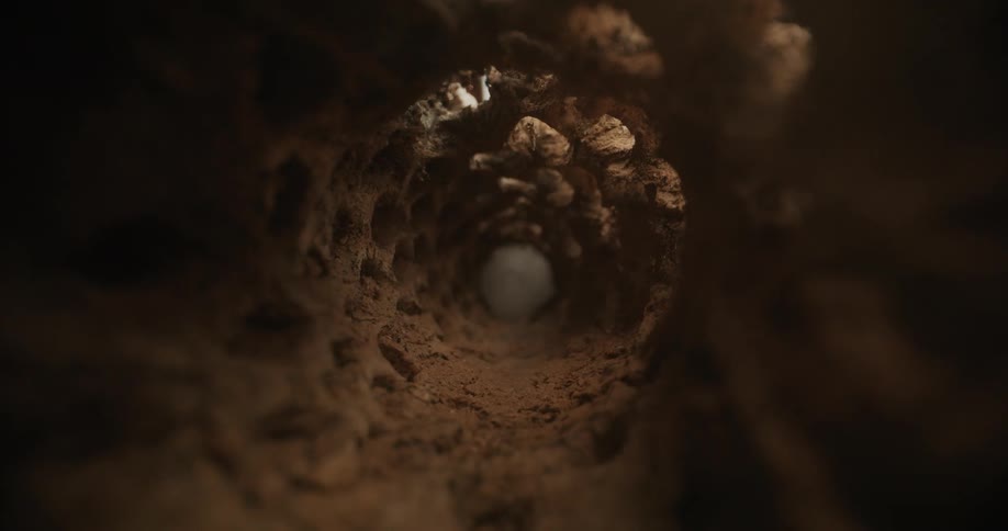 Smoke bursts through a dirt tunnel toward the camera creating a dramatic effect