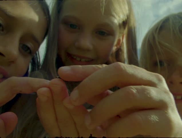 Children touch a small bug together