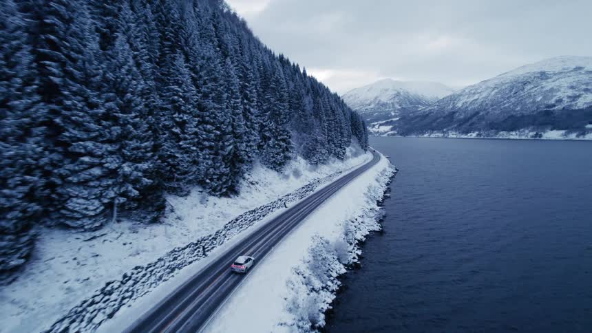 A white car driving on an asphalt road next to a pine forest and on the other side there is a huge lake