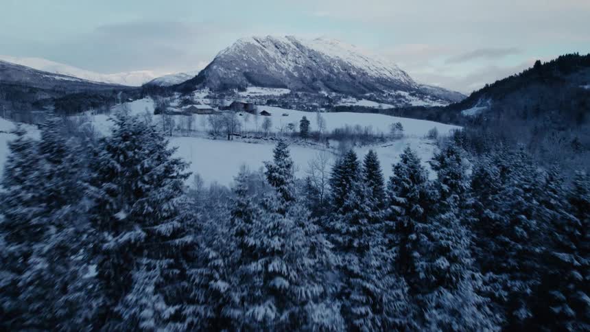 The landscape is covered in snow