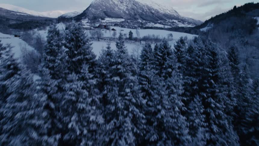Scenery of snowcovered mountains and conifers