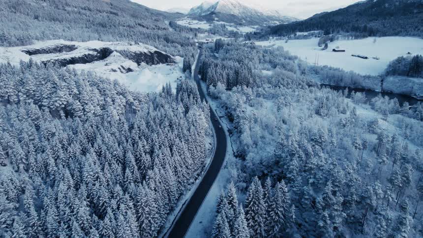 An asphalt road in the middle of a pine forest in a region that is all covered in snow