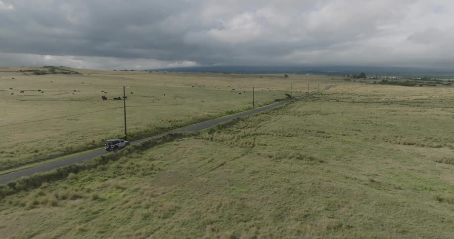 An suv drives on a lonely road surrounded by grassland on a cloudy day