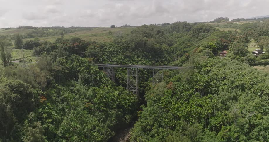 Cars drive over the long bridge on the shore
