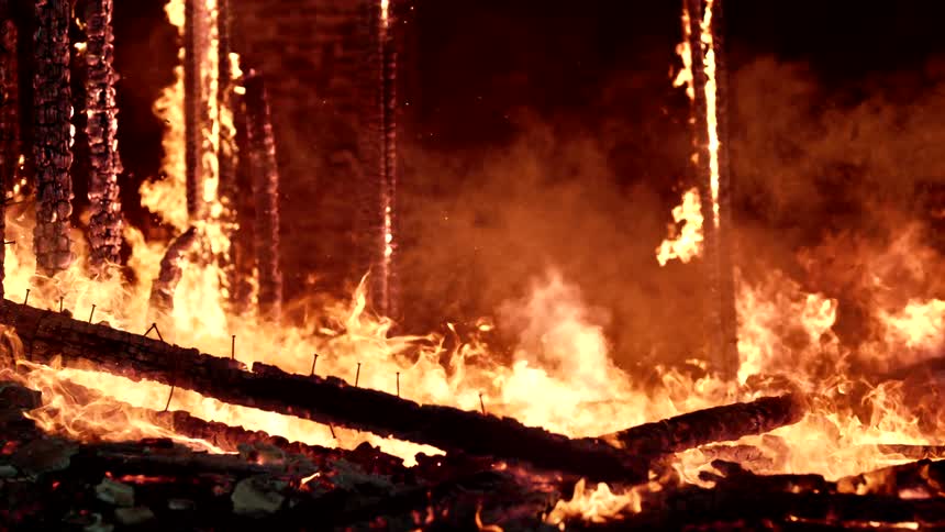 A forest on fire