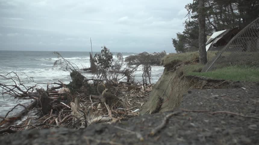 Fallen branches litter a beach