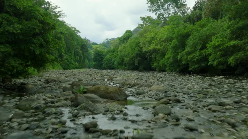 Shallow stream in a rocky river bed surrounded by trees