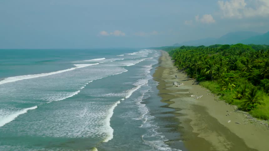 Calm ocean waves wash up on the coast of a sandy beach with several palm trees behind it