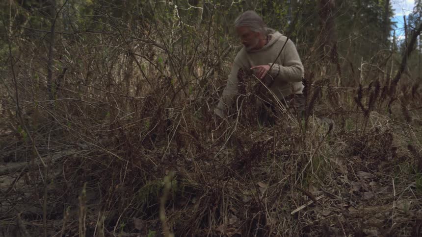 A man collects herbs