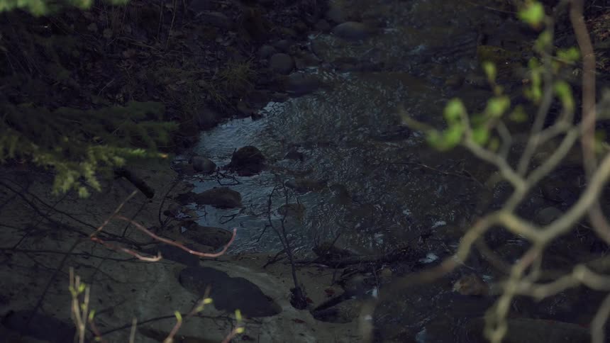 A dimly lit stream flows gently over rocks and among fallen leaves on the forest floor viewed from a high angle through outoffocus branches