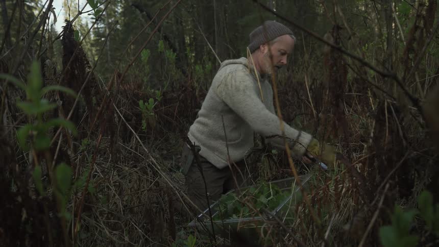 A man is gathering herbs in the forest