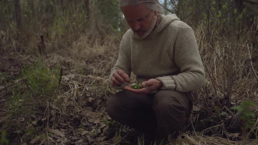 A man picks some plants