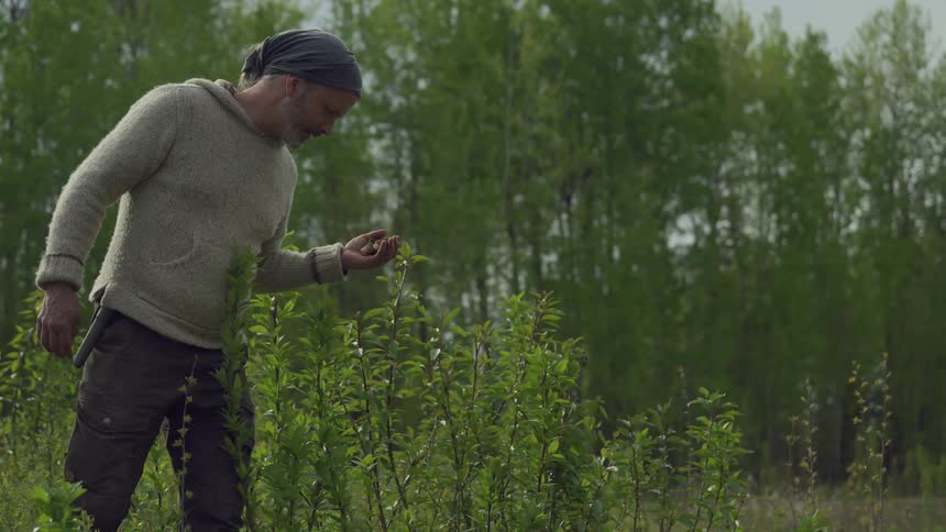 A man walks through the undergrowth looking for something