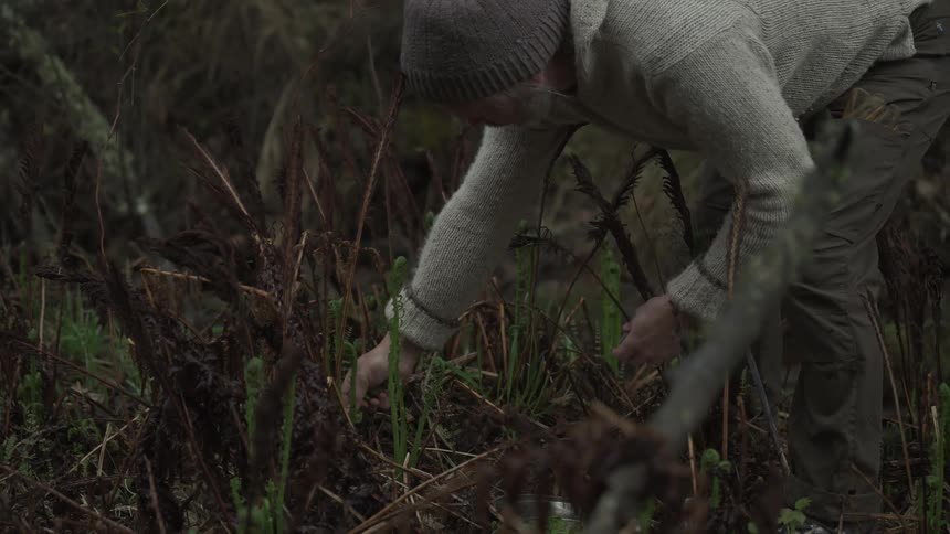 A man picks some herbs