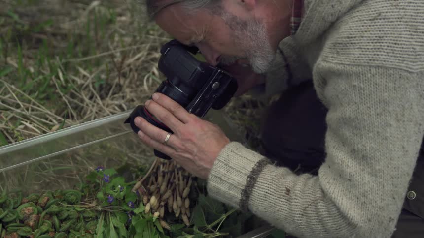 A man takes pictures of plants in a container