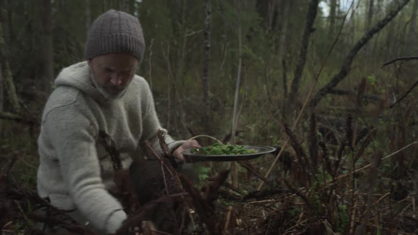 A man in a knit sweater and beanie is foraging and collecting fresh green ferns in a forest clearing