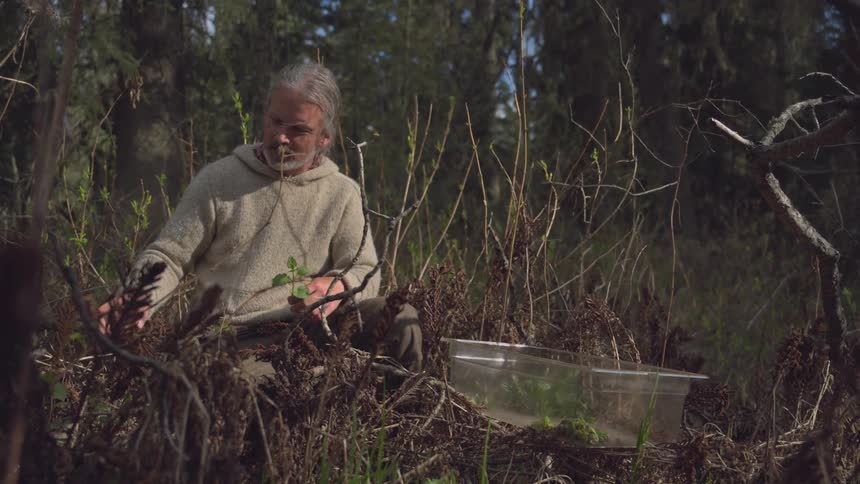 A man harvests some herbs