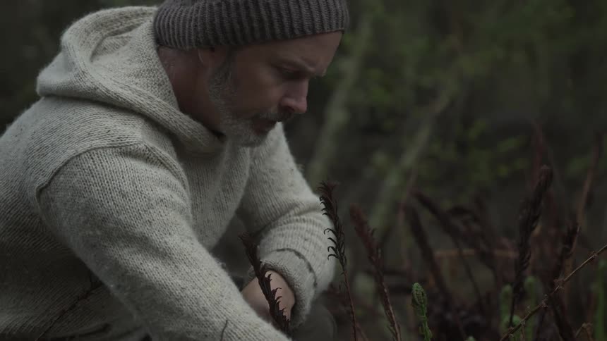 A man picks some herbs