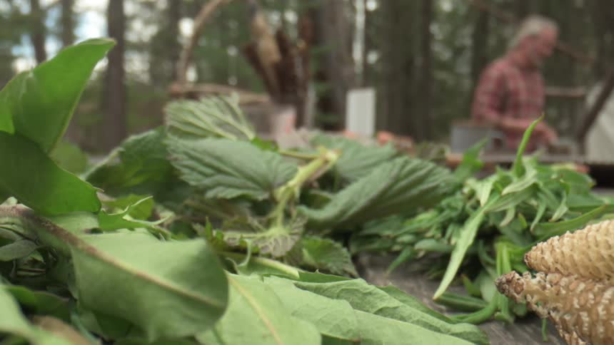 A man is working near a table outside covered in plant leaves