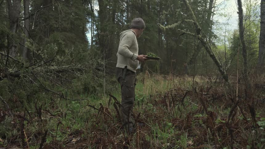 A man wearing a beanie and sweater uses his phone to photograph a plate of leafy greens while standing in a forest
