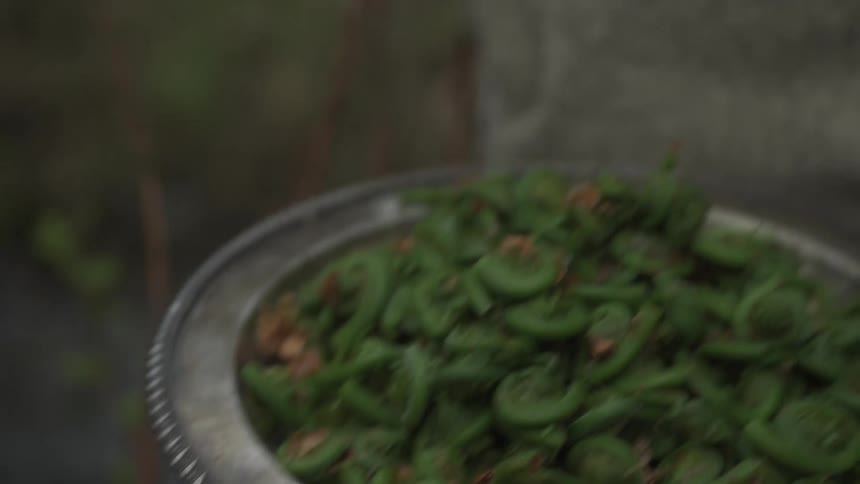 A man is picking herbs in the yard