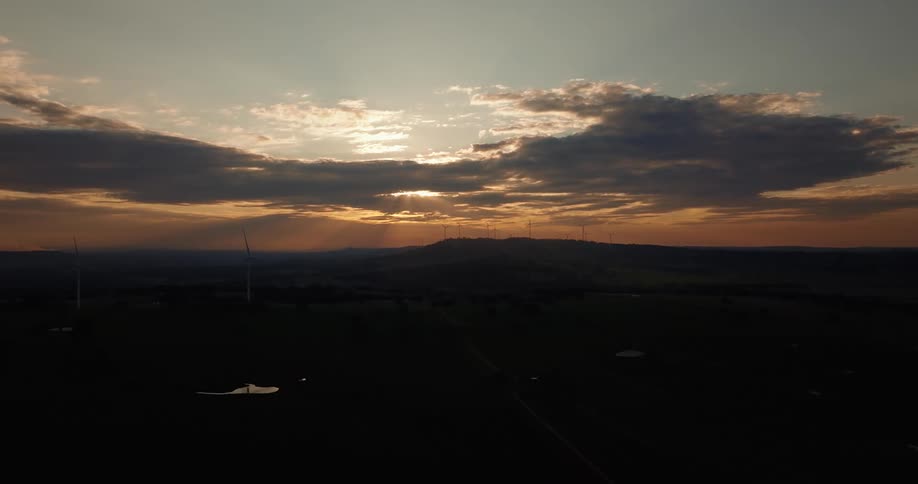 Windmills are on the field at sunrise