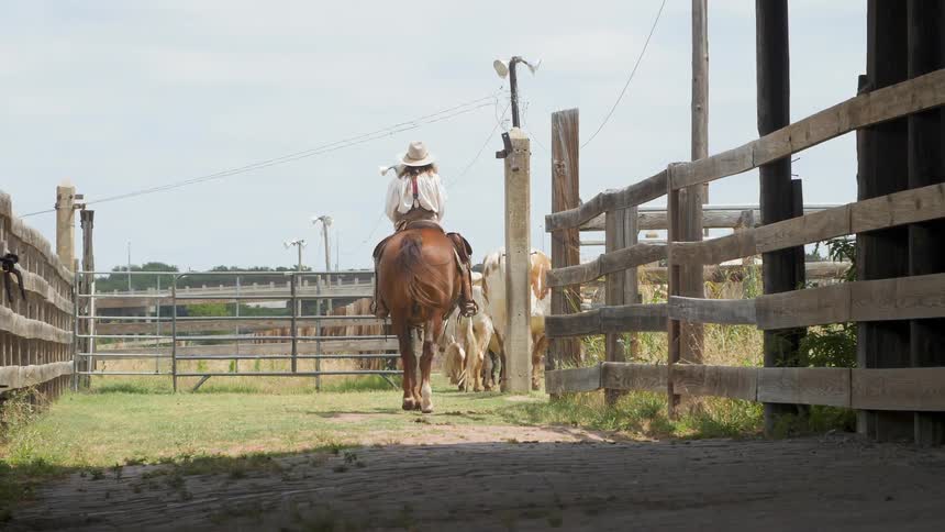 Person riding horse behind cows in a corral
