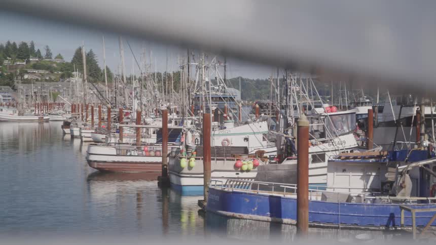 Several boats parked in a marina