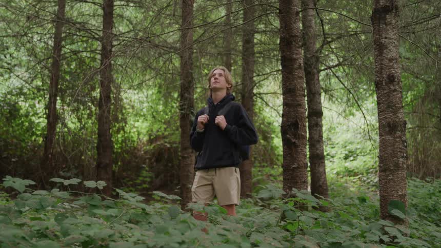 Man standing looking up in a forest