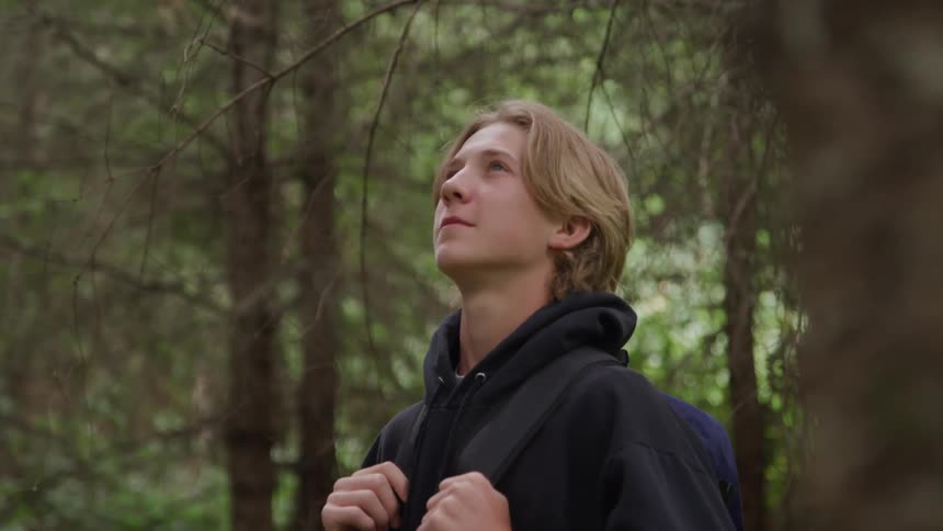 Blonde man standing looking up while standing in a forest