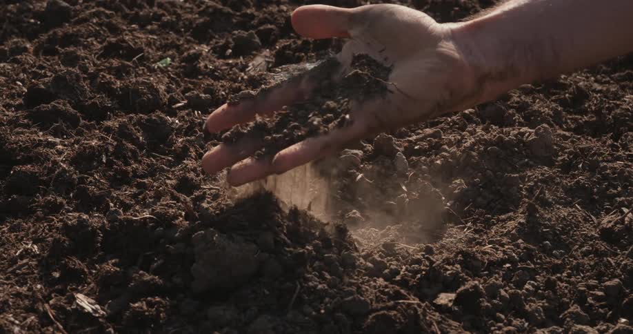 A persons hand sifts dry soil through their fingers as dust rises highlighting a tactile connection with the earth