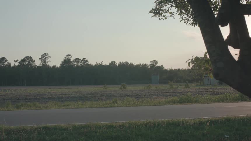 An empty road at dawn