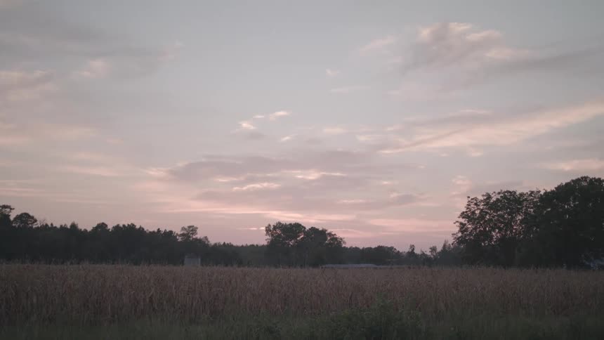 Dawn over a large field