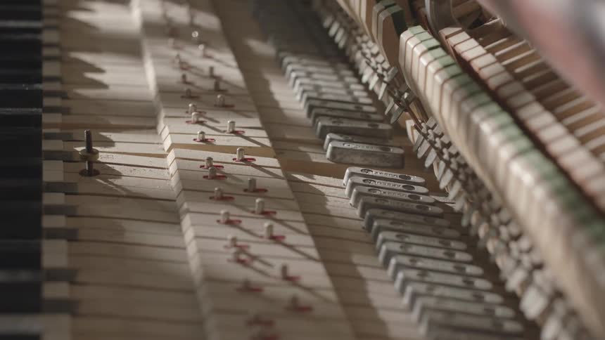 A closeup view reveals the interior of a piano showcasing the hammers and strings