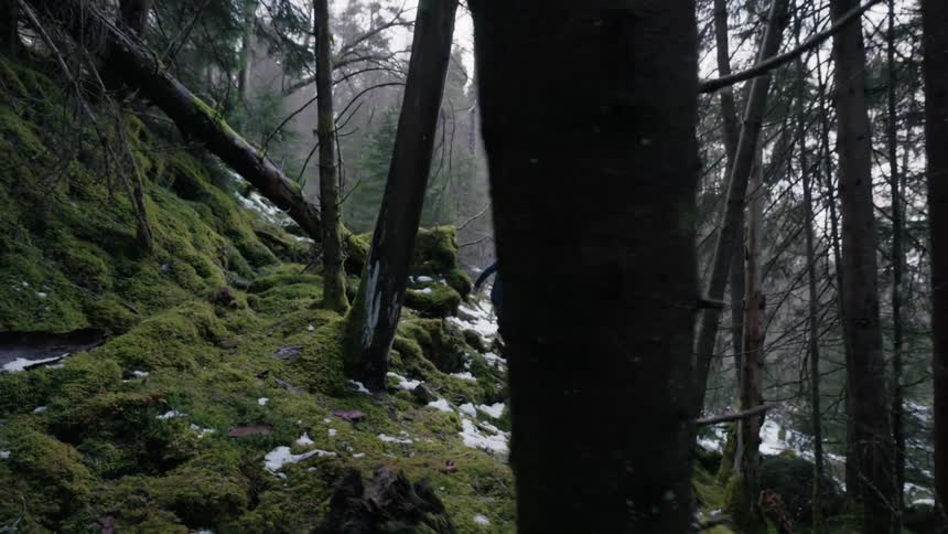 Group of people climbing a mountain in the middle of a snowy forest
