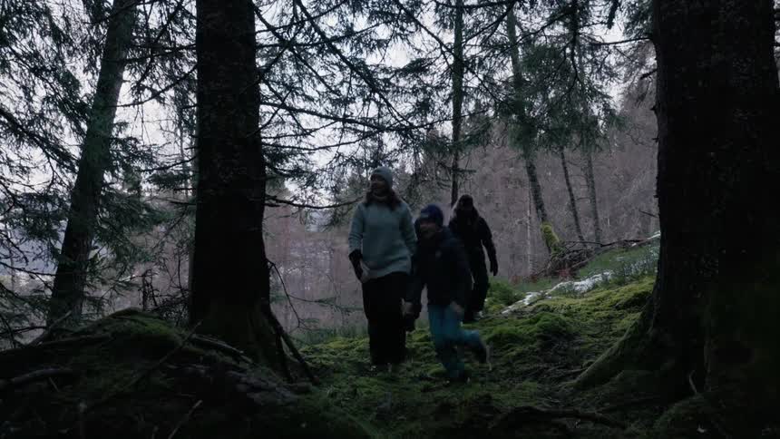 Family hiking through forest during the day