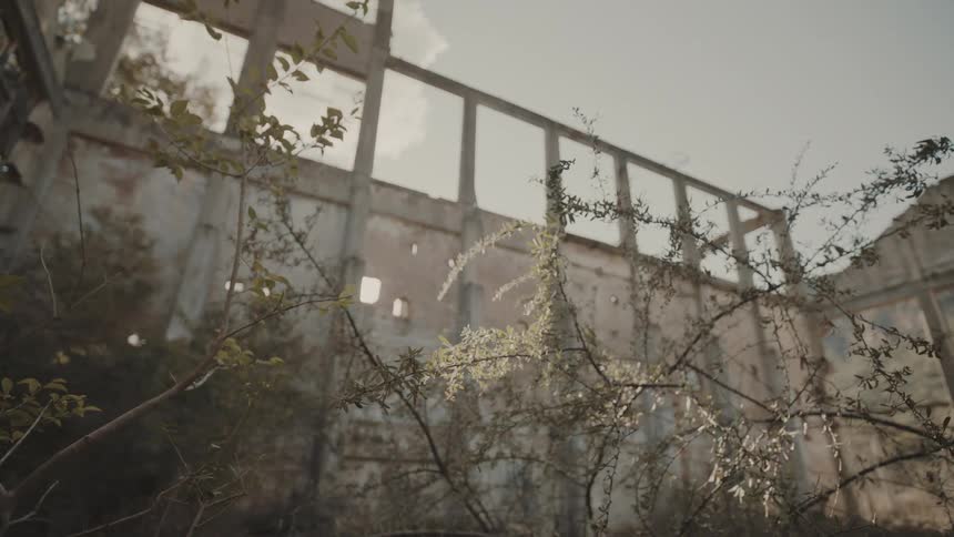 Sun shines through an opening in a wall onto plants in the garden on a cloudy day