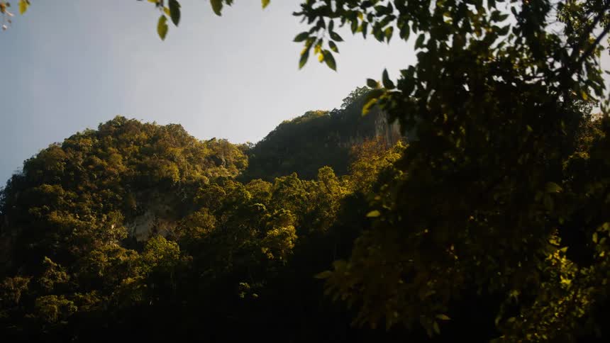 Mountains covered with green vegetation