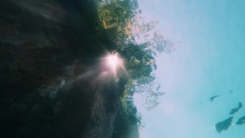 Sunlight streams through the waters surface casting radiant beams that filter through the vegetation atop a towering cliff