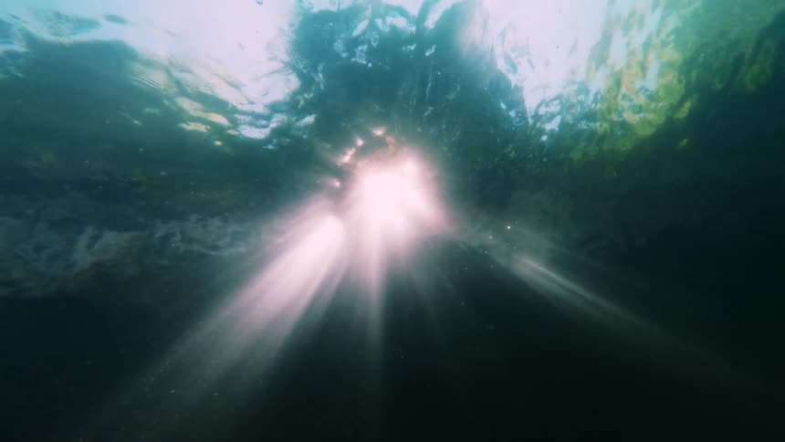 Looking up at the sun from underwater