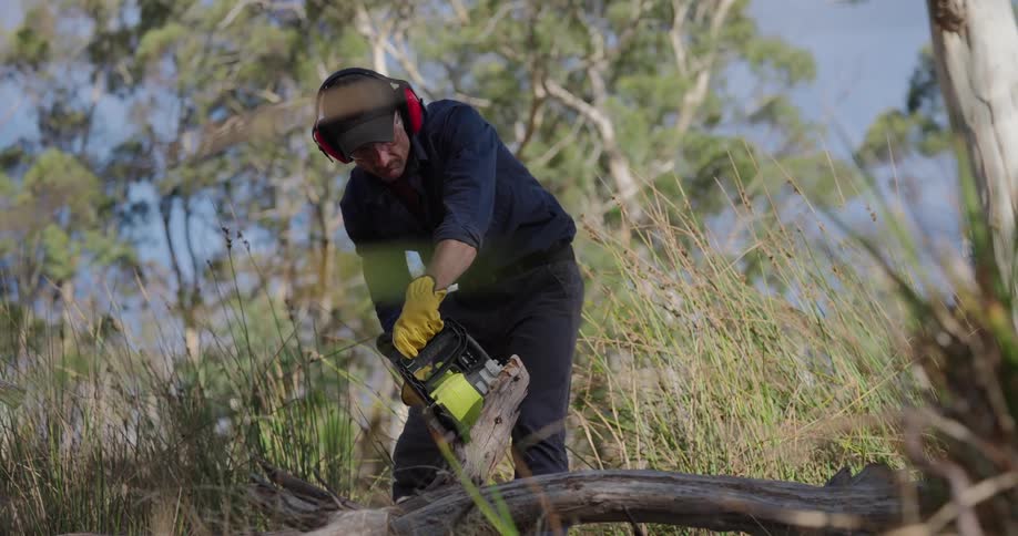 Man cuts a fallen tree with a chainsaw