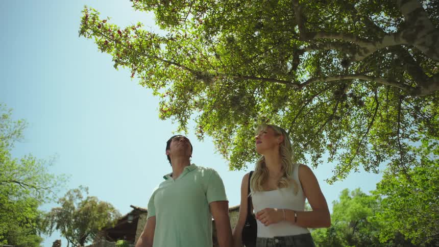 A man and woman walk hand in hand gazing upward beneath the leafy canopy of a tree against a clear blue sky