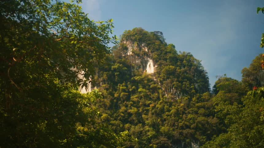 Lush green trees frame a towering rock mountain under a blue sky
