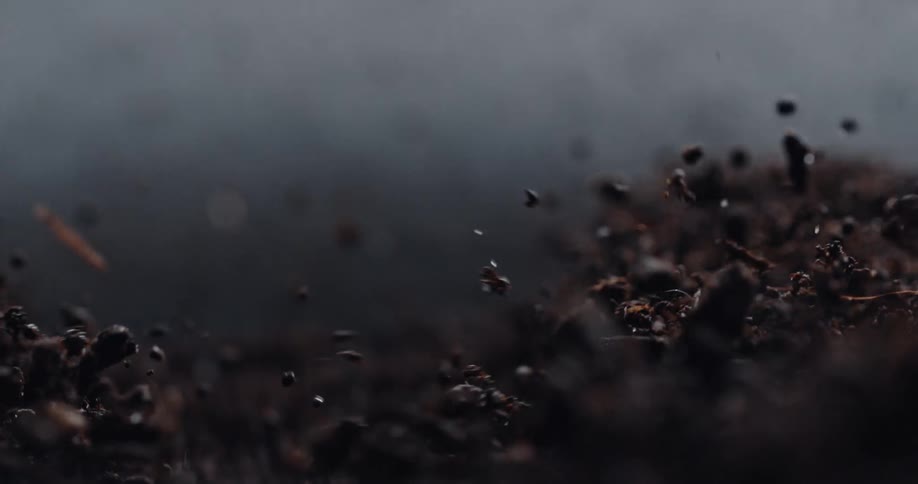 Clumps of dirt are jumping up and down